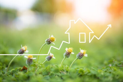 pring flowers mean increased home sales